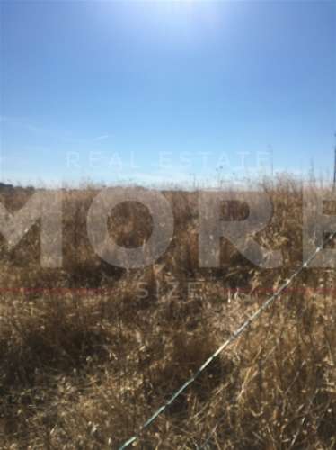 Terreno Rústico - Alqueva - Portel