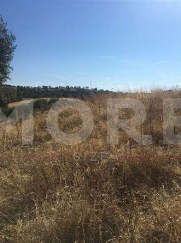 Terreno Rústico - Alqueva - Portel