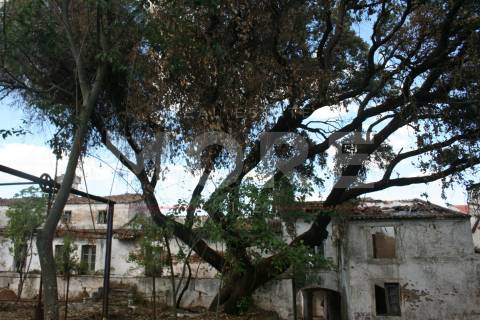 Palácio no Centro de Vila Viçosa