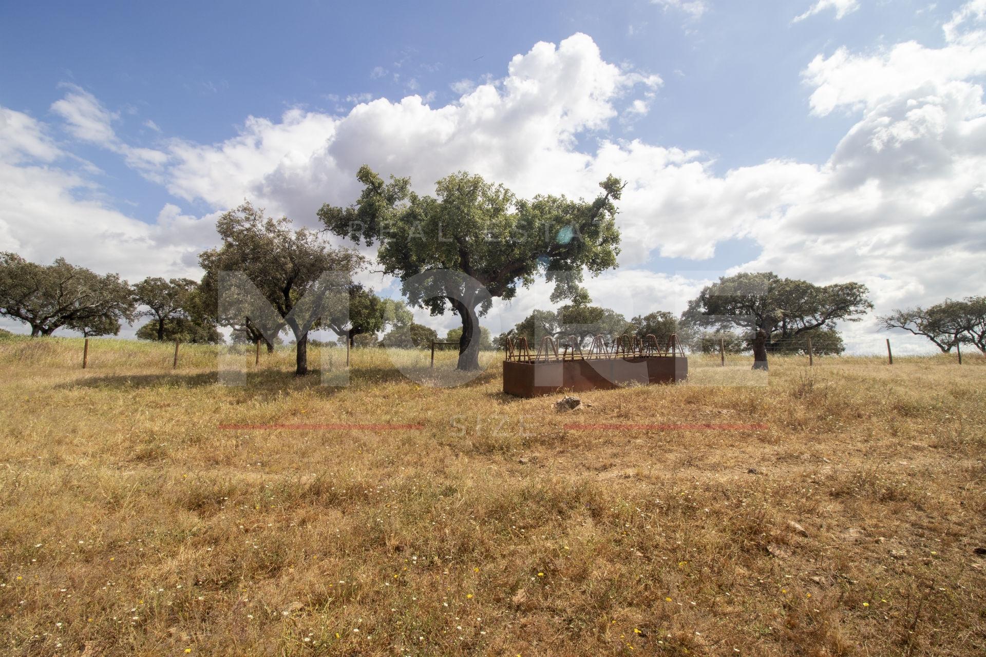 Herdade - Alvito