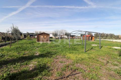 Moradia em Madeira - Arraiolos - Vimieiro