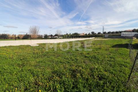 Terreno para contrução - Arraiolos - Vimieiro