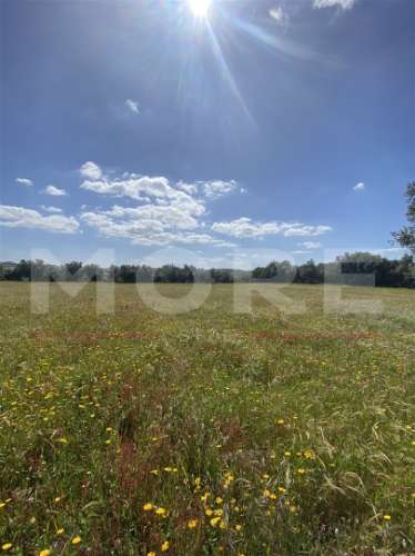 Terreno Rústico com 18.750 m² – Alcáçovas, Viana do Alentejo