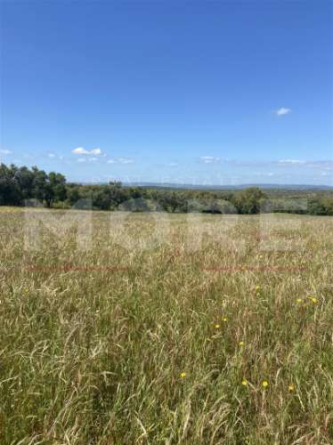 Terreno Rústico com 18.750 m² – Alcáçovas, Viana do Alentejo