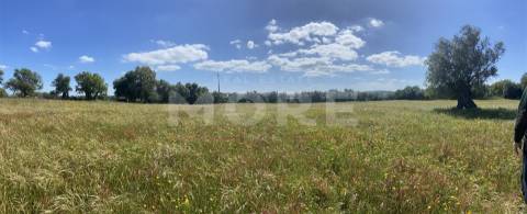 Terreno Rústico com 18.750 m² – Alcáçovas, Viana do Alentejo