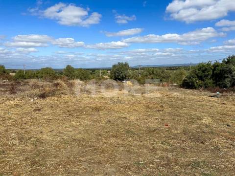 Terreno com 3.583 m² – Alcáçovas