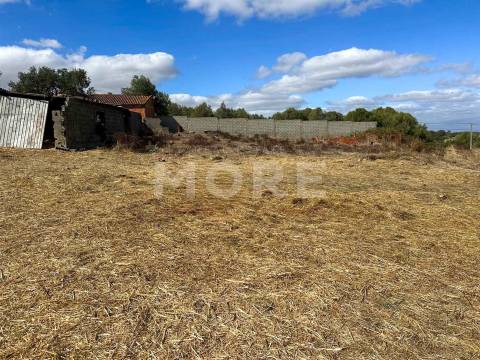 Terreno com 3.583 m² – Alcáçovas