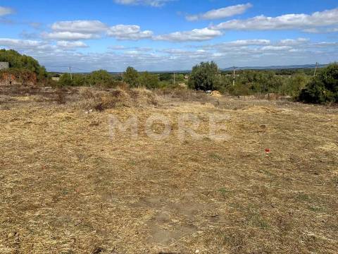Terreno com 3.583 m² – Alcáçovas