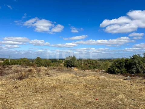 Terreno com 3.583 m² – Alcáçovas