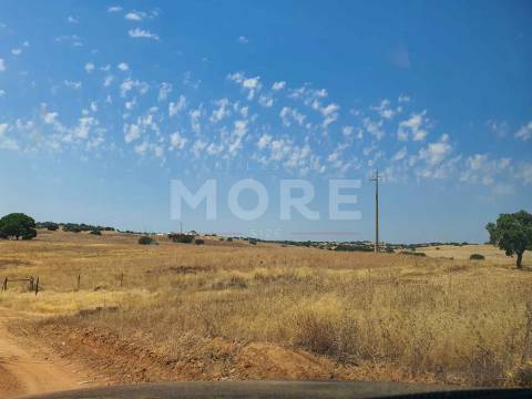 Herdade - 31,5 hectares - Torrão