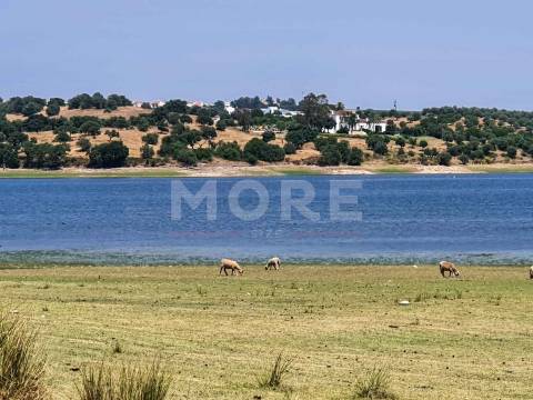 Herdade - 31,5 hectares - Torrão
