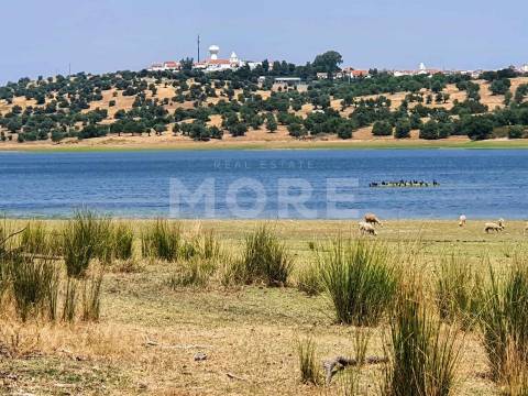 Herdade - 31,5 hectares - Torrão