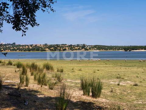 Herdade - 31,5 hectares - Torrão
