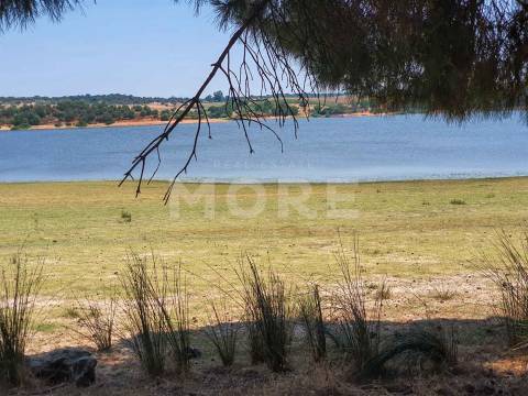 Herdade - 31,5 hectares - Torrão