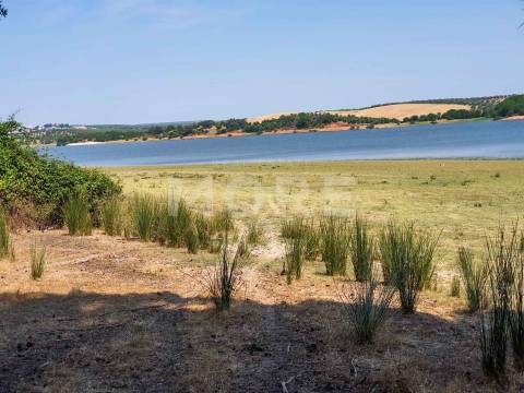 Herdade - 31,5 hectares - Torrão