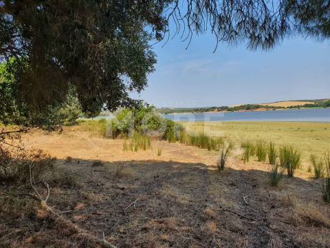 Herdade - 31,5 hectares - Torrão