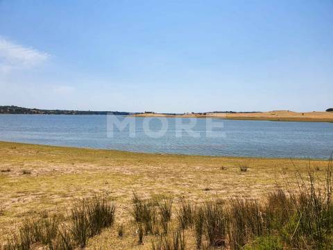 Herdade - 31,5 hectares - Torrão