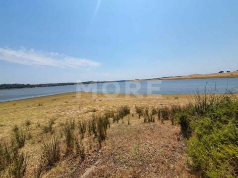 Herdade - 31,5 hectares - Torrão