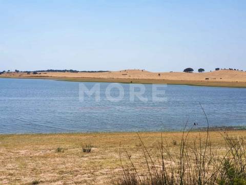 Herdade - 31,5 hectares - Torrão