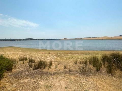 Herdade - 31,5 hectares - Torrão