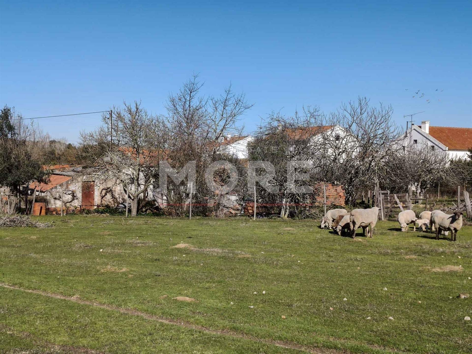 Terreno com 9500 m² – Évora