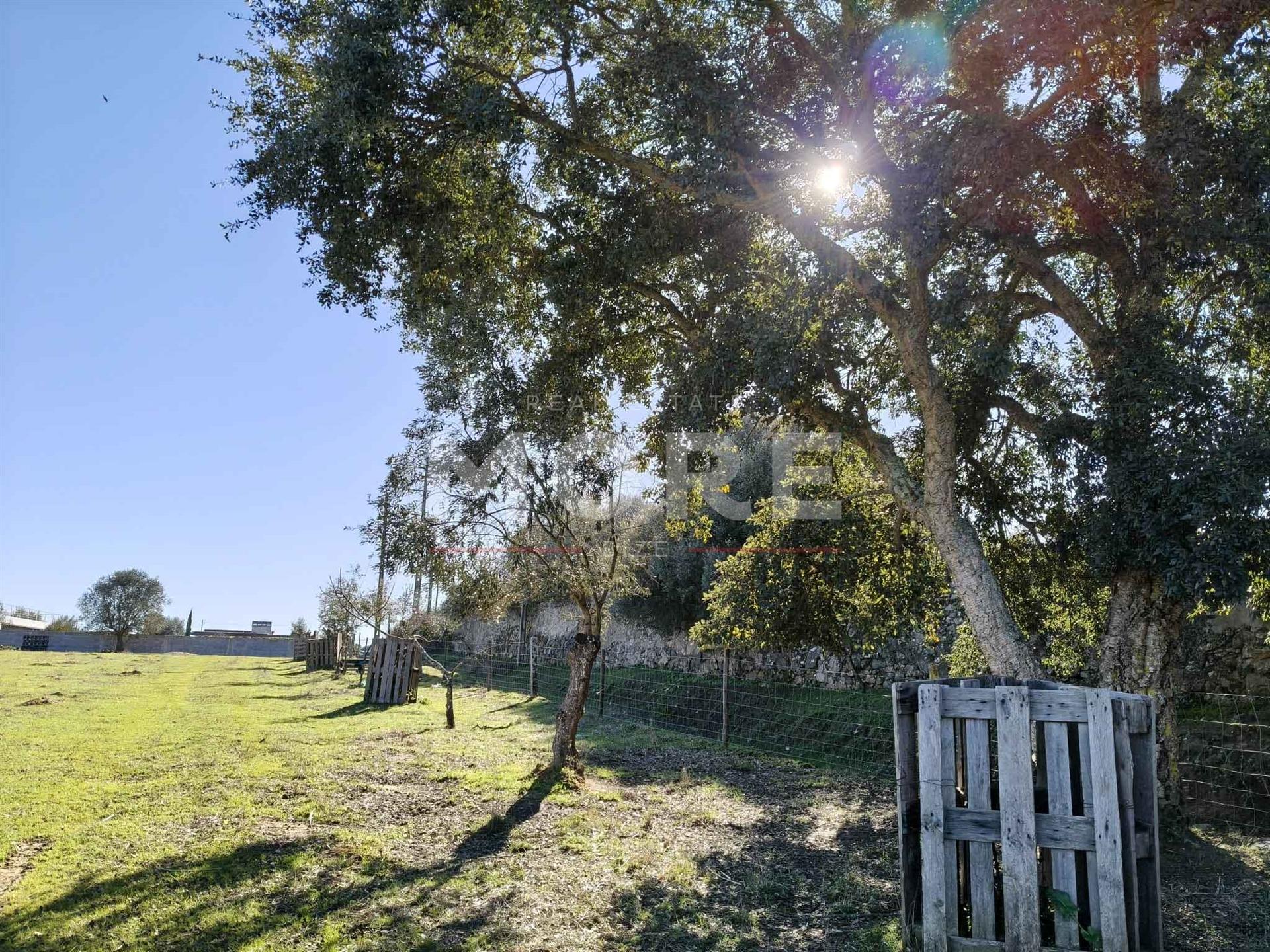 Terreno com 9500 m² – Évora