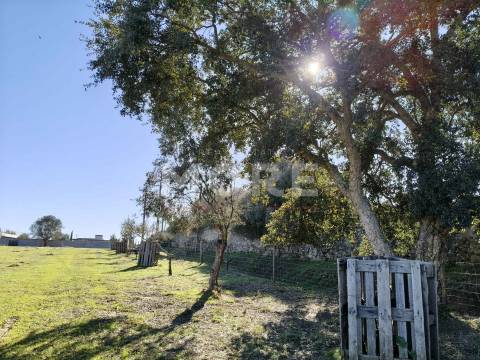 Terreno com 9500 m² – Évora