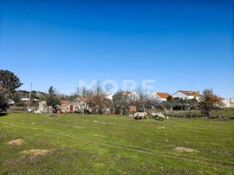 Terreno com 9500 m² – Évora