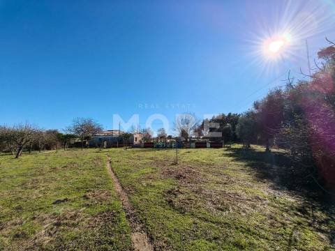 Terreno com 9500 m² – Évora