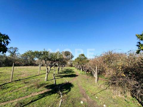 Terreno com 9500 m² – Évora