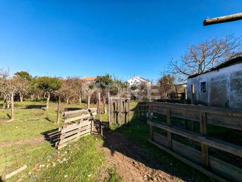 Terreno com 9500 m² – Évora