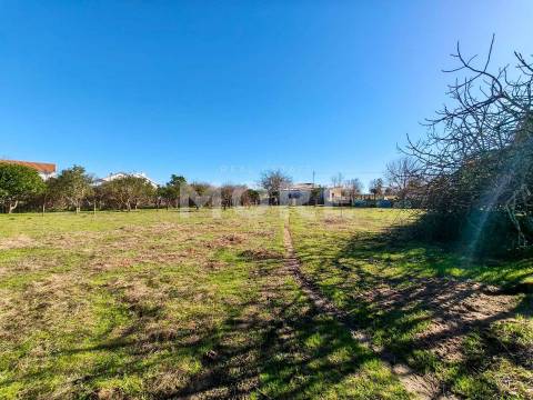 Terreno com 9500 m² – Évora