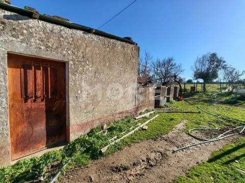 Terreno com 9500 m² – Évora