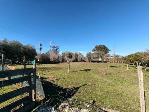 Terreno com 9500 m² – Évora