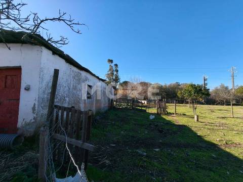 Terreno com 9500 m² – Évora