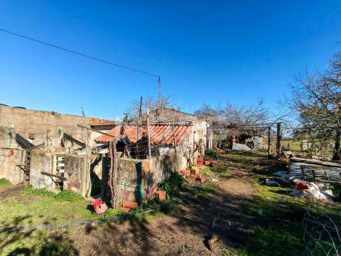 Terreno com 9500 m² – Évora