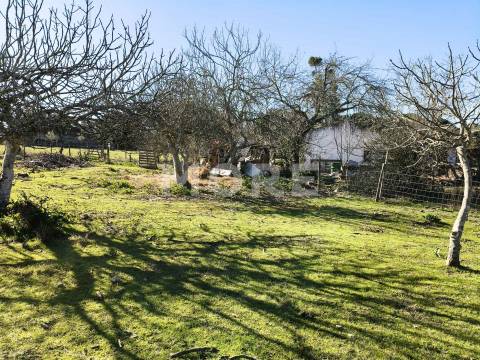 Terreno com 9500 m² – Évora