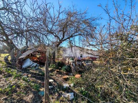 Terreno com 9500 m² – Évora