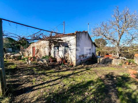 Terreno com 9500 m² – Évora