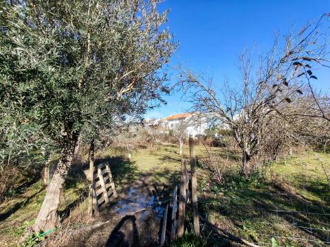 Terreno com 9500 m² – Évora