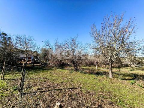 Terreno com 9500 m² – Évora