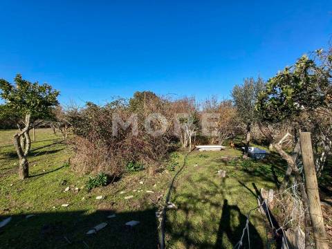 Terreno com 9500 m² – Évora