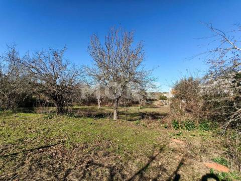 Terreno com 9500 m² – Évora