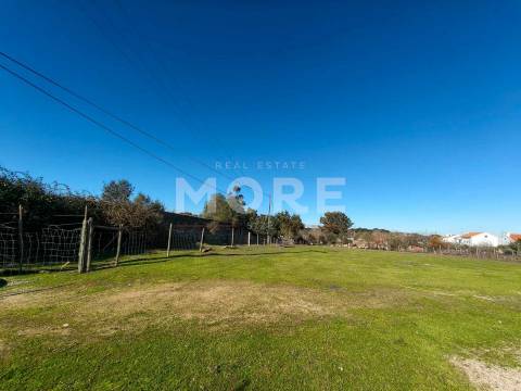 Terreno com 9500 m² – Évora