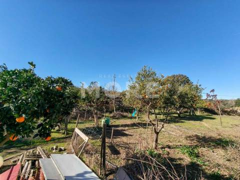 Terreno com 9500 m² – Évora