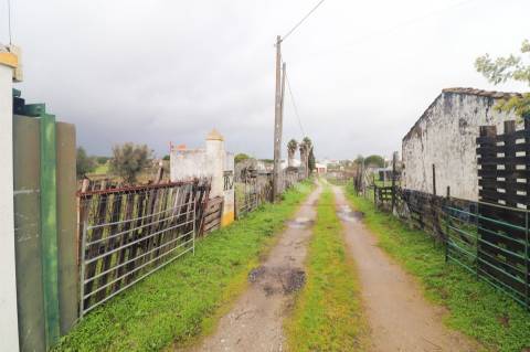 Quinta a 5 km de Évora - Potencial e Tradição!