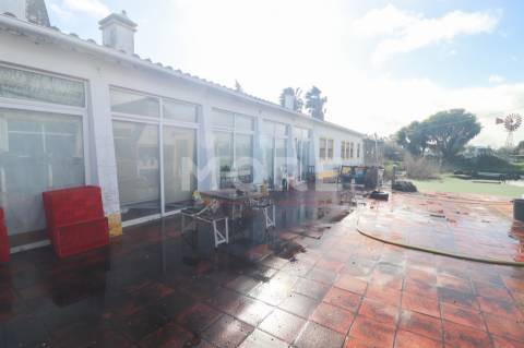 Quinta a 5 km de Évora - Potencial e Tradição!