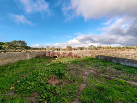 Quinta a 5 km de Évora - Potencial e Tradição!