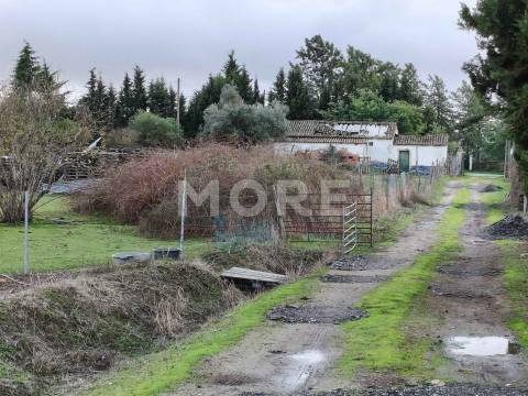 Quinta a 5 km de Évora - Oportunidade Única!