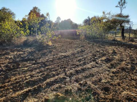 Terreno Urbanizável - Zona de Expansão Urbana - Chão-das-Donas - Portimão - Algarve